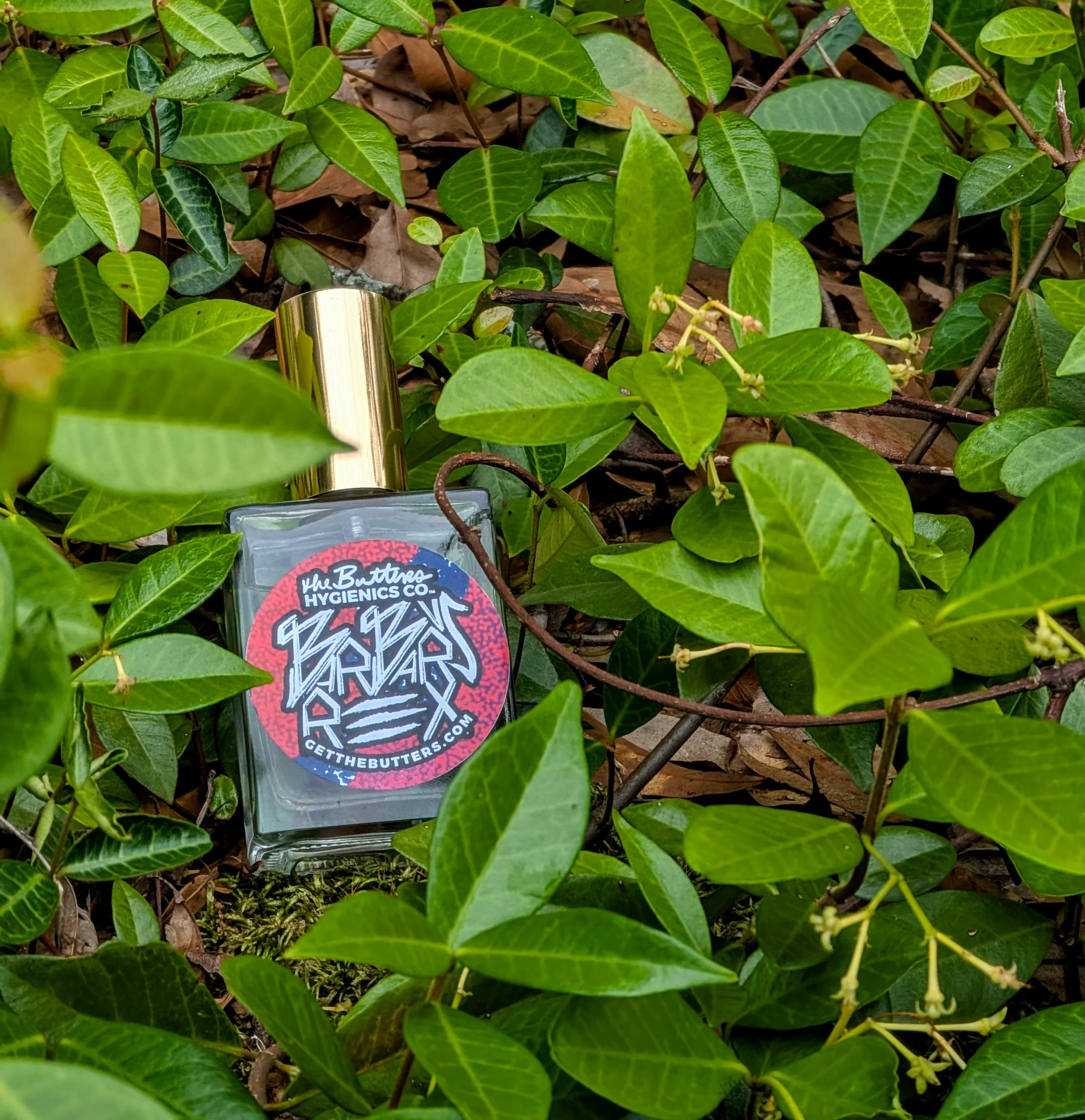 Barbarus REX #91 | Extrait de Parfum | 30% Concentration - Image 6
