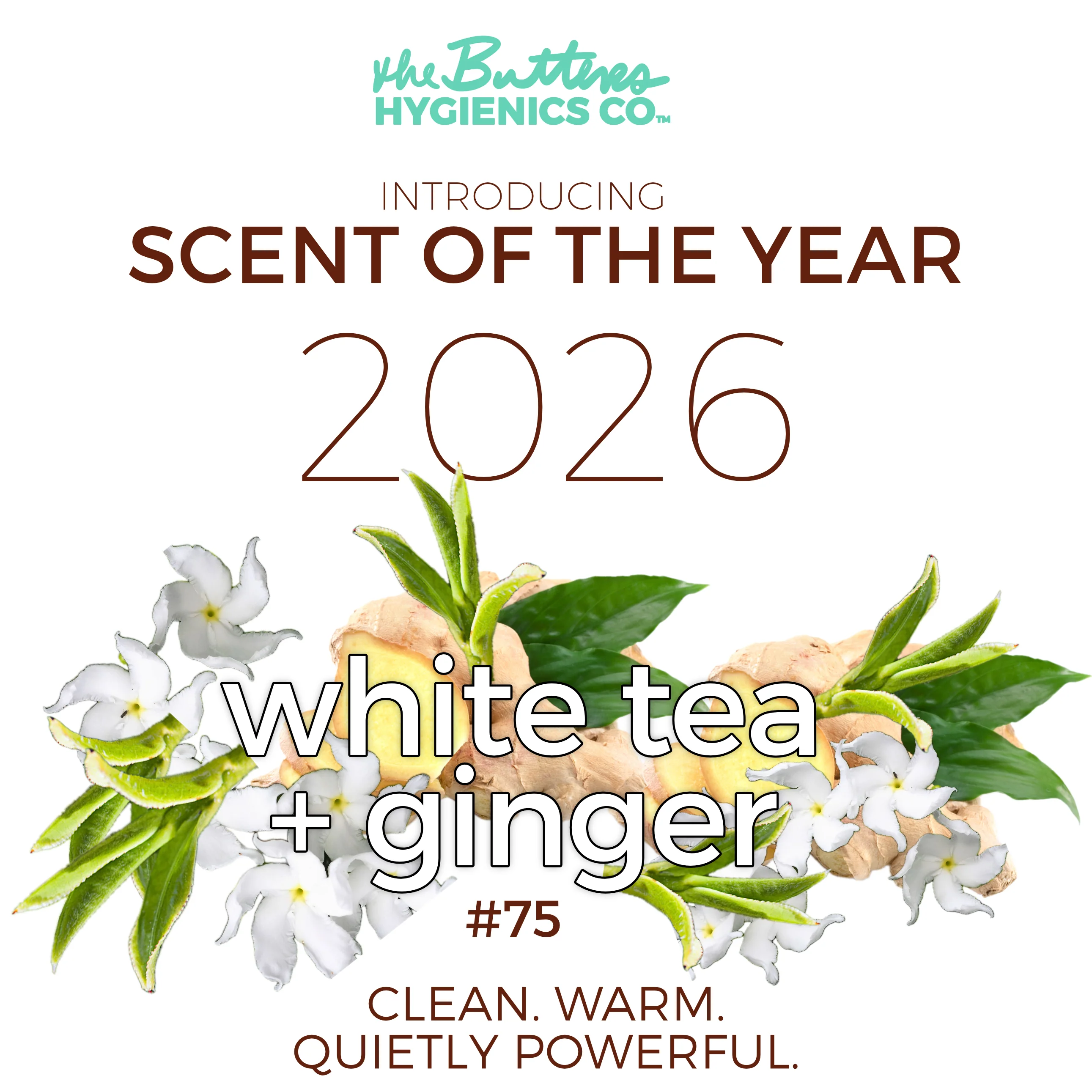 White Tea + Ginger #75 "Focus & Fortitude" - Aloe X Shea Body Moisturizer *Scent of the Year 2026* - Image 5
