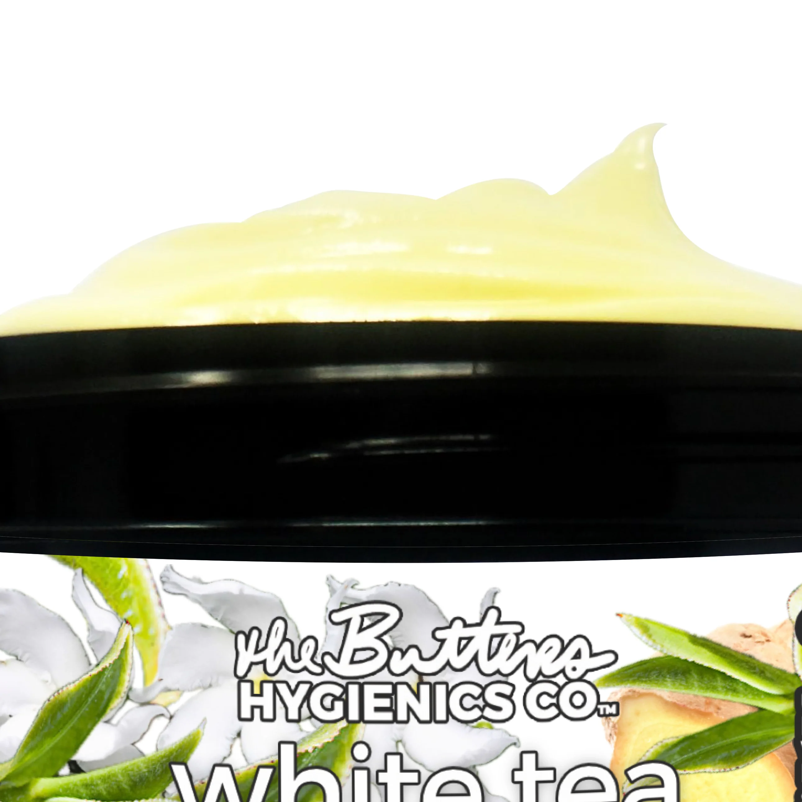 White Tea + Ginger #75 "Focus & Fortitude" - Aloe X Shea Body Moisturizer *Scent of the Year 2026* - Image 3