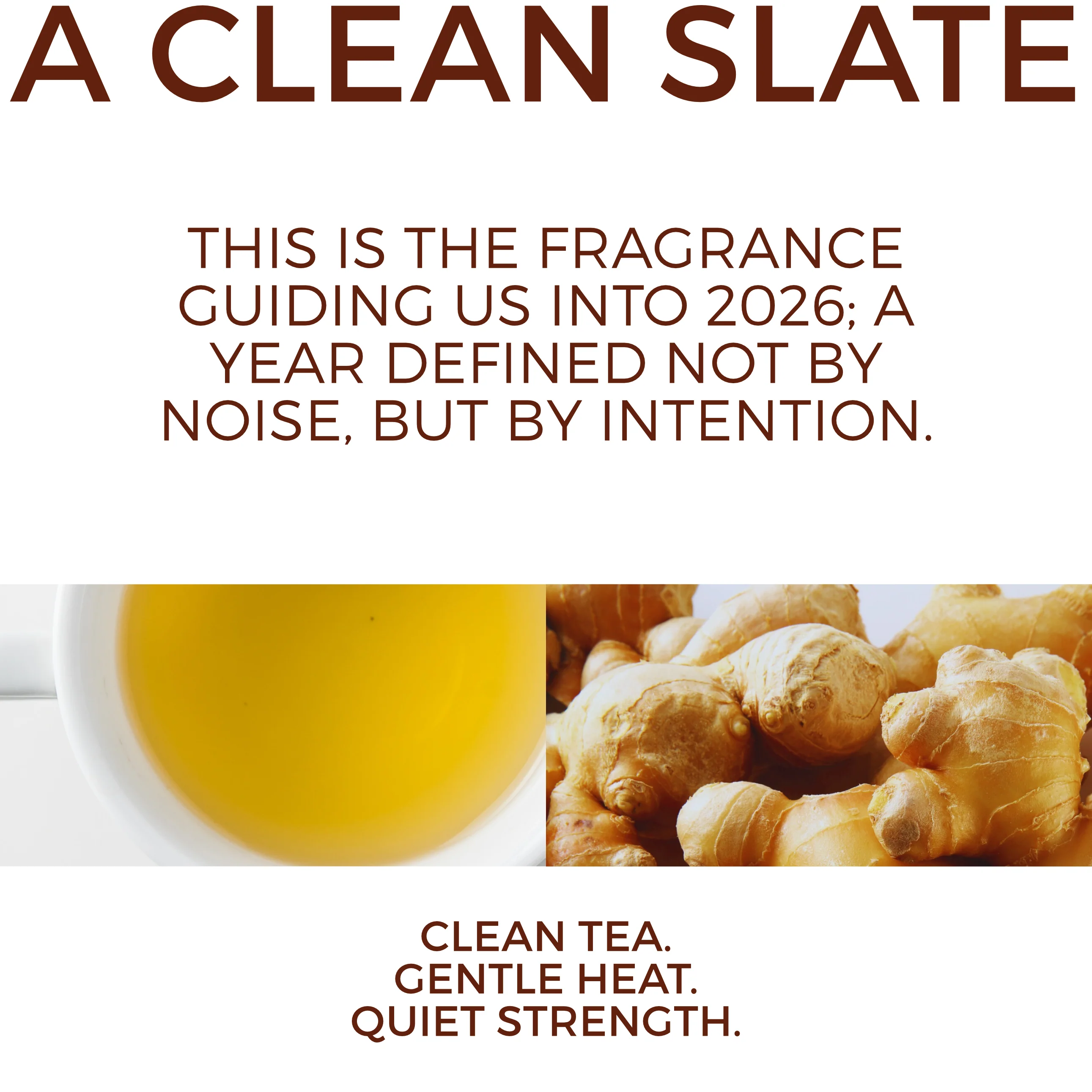 White Tea + Ginger #75 | Parfum *Scent of the Year 2026* - Image 5